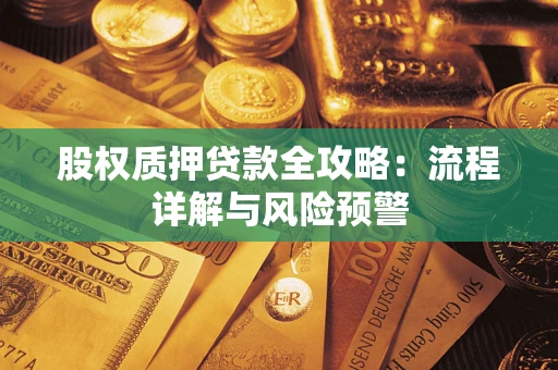 武汉股权质押贷款全攻略：流程详解与风险预警