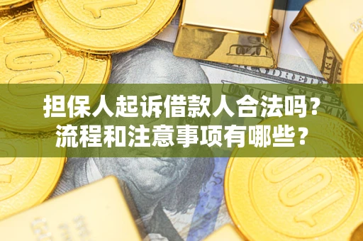 武汉担保人起诉借款人合法吗？流程和注意事项有哪些？