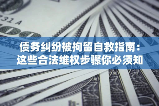 武汉债务纠纷被拘留自救指南：这些合法维权步骤你必须知道！
