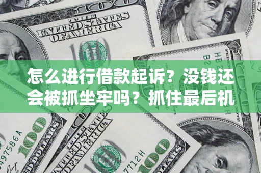 武汉怎么进行借款起诉？没钱还会被抓坐牢吗？抓住最后机会！