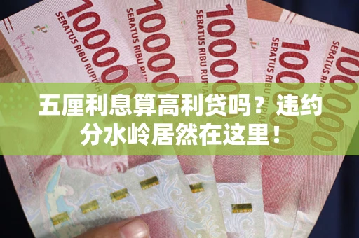 武汉五厘利息算高利贷吗？违约分水岭居然在这里！