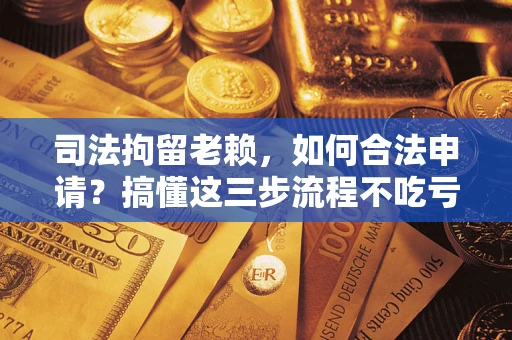武汉司法拘留老赖，如何合法申请？搞懂这三步流程不吃亏！