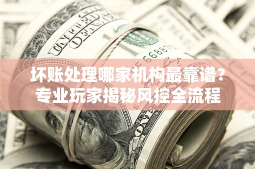 武汉坏账处理哪家机构最靠谱？专业玩家揭秘风控全流程
