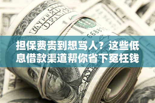 武汉担保费贵到想骂人？这些低息借款渠道帮你省下冤枉钱