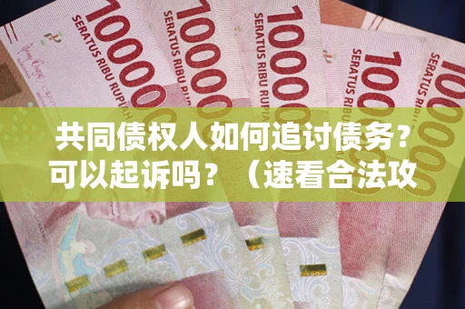 武汉共同债权人如何追讨债务？可以起诉吗？（速看合法攻略）