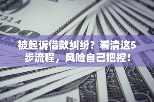 武汉被起诉借款纠纷？看清这5步流程，风险自己把控！