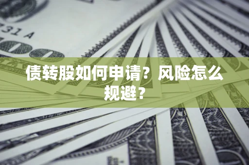 武汉债转股如何申请？风险怎么规避？
