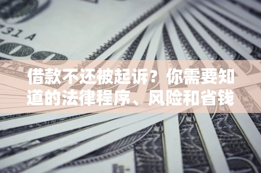 武汉借款不还被起诉？你需要知道的法律程序、风险和省钱技巧