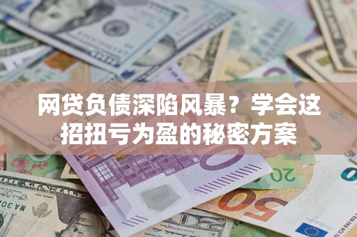 武汉网贷负债深陷风暴？学会这招扭亏为盈的秘密方案